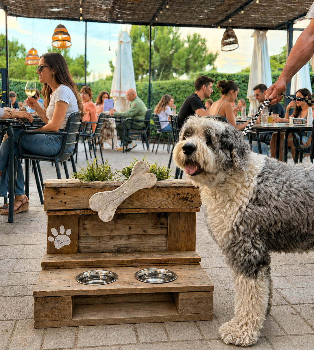 Nuestro restaurante Nebari en Las Rozas es Pet friendly